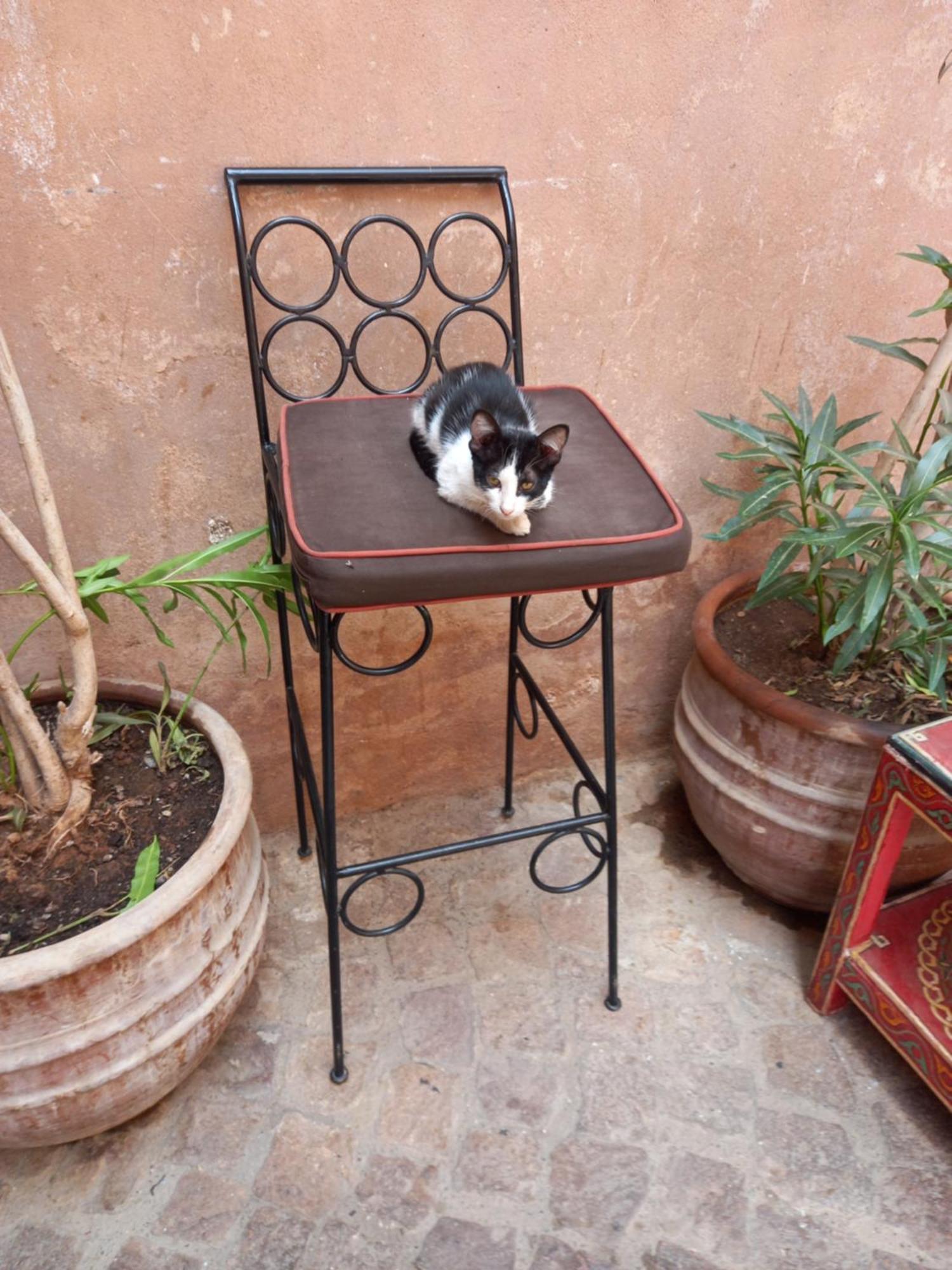 Juli'S Bed & Breakfast Marrakesh Exterior foto