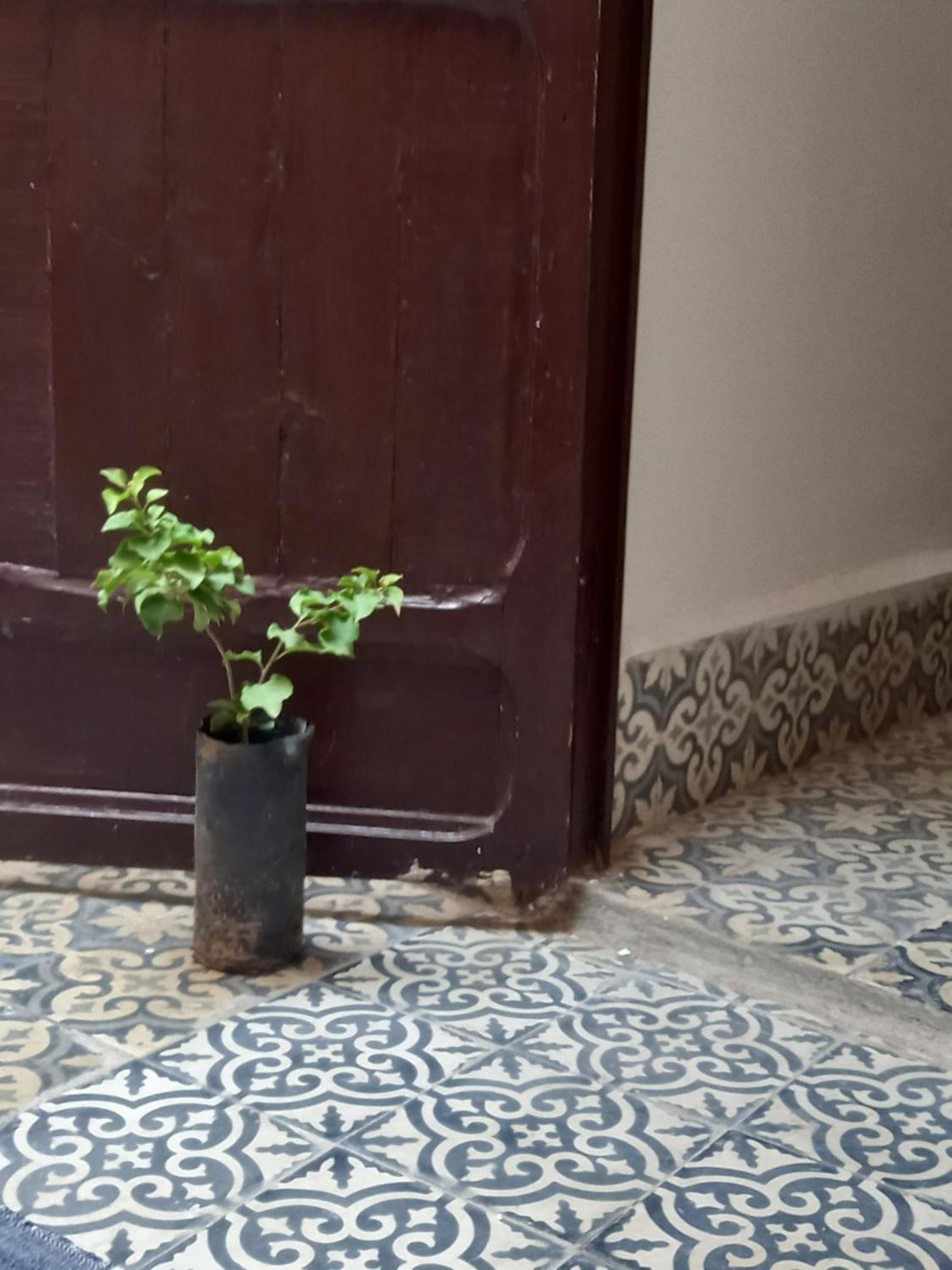 Juli'S Bed & Breakfast Marrakesh Exterior foto